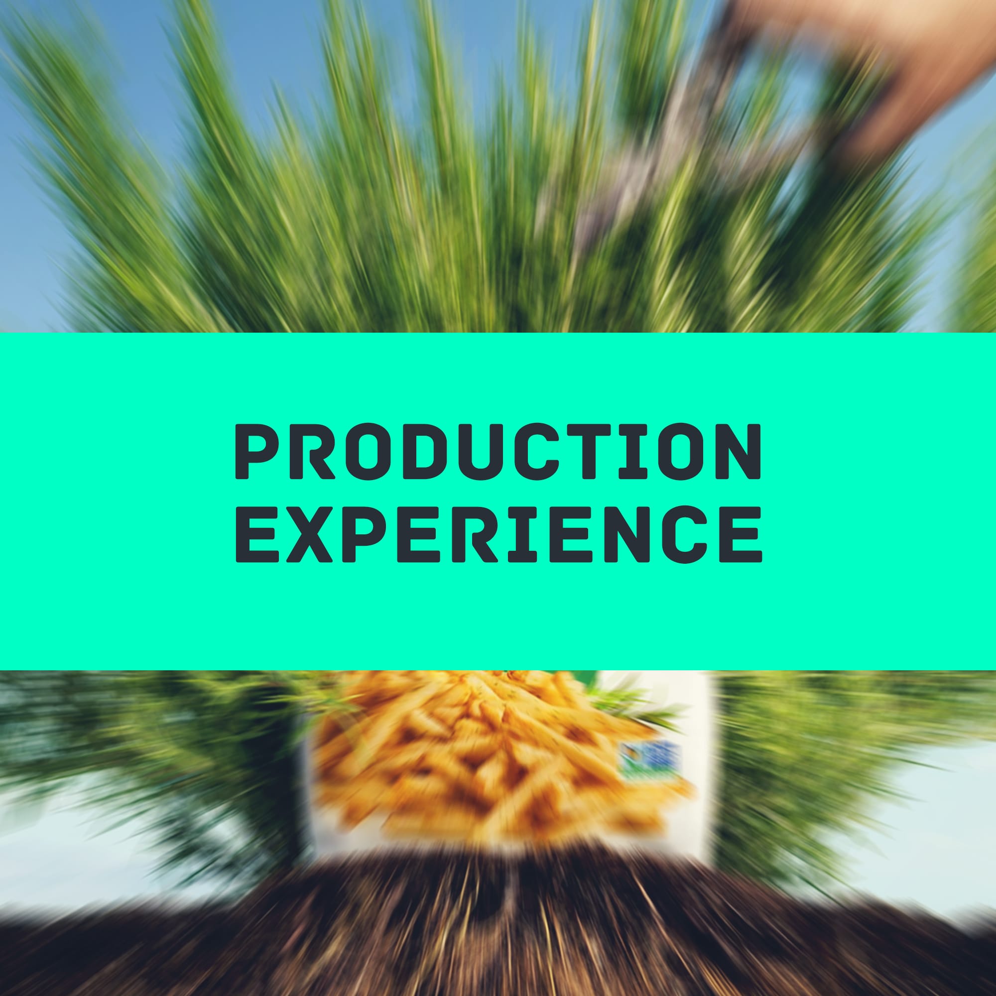 Production Experience